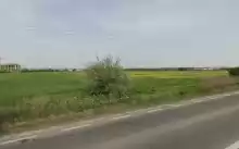 Teren intravilan pentru hale industriale Teren intravilan pentru hale industriale