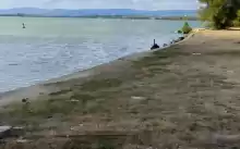 TEREN UNIC LA DUNARE