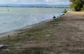 TEREN UNIC LA DUNARE