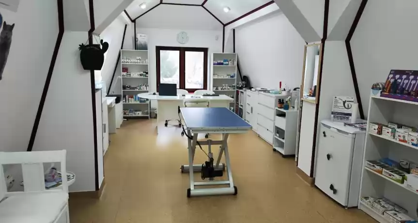 Afacere la cheie cabinet veterinar Brasov