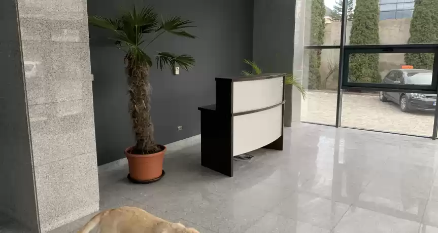 Vand sau inchiriez spatii birouri