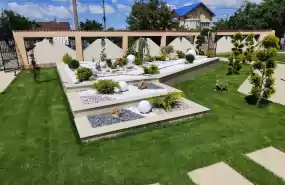 Caut investitor/asociat pentru firmă în creștere Caut investitor/asociat pentru firmă în creștere