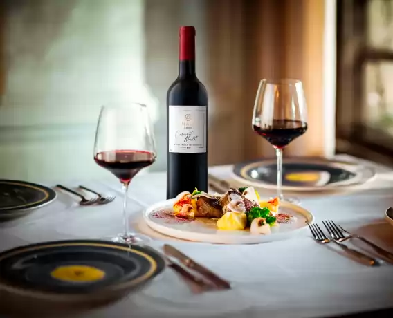 Afacere Import-Distributie Vinuri Non-Alcoolice 