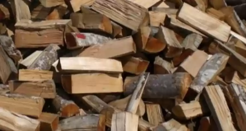 Vand afacere la cheie depozit de lemn de foc, cherestea si carbuni