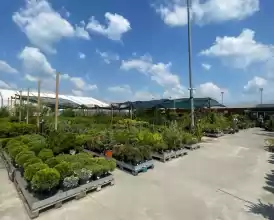Retailer online și magazine fizice de echipamente