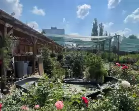 Retailer online și magazine fizice de echipamente