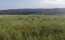 Pentru investiții în regenerabile