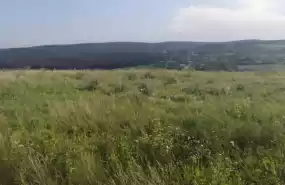 Pentru investiții în regenerabile