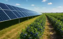 Vânzare 4 parcuri fotovoltaice recent construite