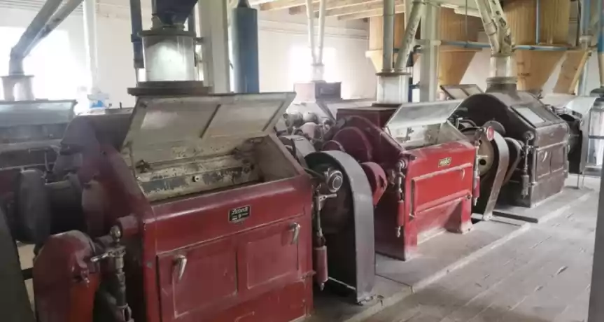 Business agro-industrial – moară cereale 50 t/zi 