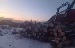 Investește în Viitorul Industriei Lemnului 