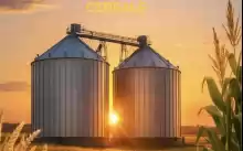 Siloz Cereale - FNC cu spatiu sediu Siloz Cereale - FNC cu spatiu sediu