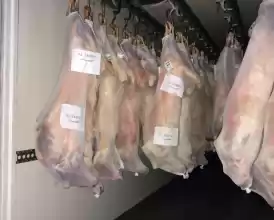 ABATOR ȘI CARMANGERIE KOSHER & HALAL