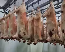 ABATOR ȘI CARMANGERIE KOSHER & HALAL