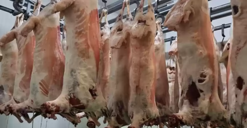 ABATOR ȘI CARMANGERIE KOSHER & HALAL - 5.000.000 EUR ABATOR ȘI CARMANGERIE KOSHER & HALAL