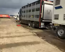 ABATOR ȘI CARMANGERIE KOSHER & HALAL