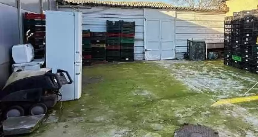 Abator de Păsări Funcțional – Hârșova