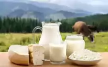 Fabrică de Lactate Afacere la Cheie