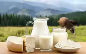 Fabrică de Lactate Afacere la Cheie