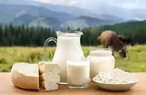 Fabrică de Lactate Afacere la Cheie Fabrică de Lactate Afacere la Cheie