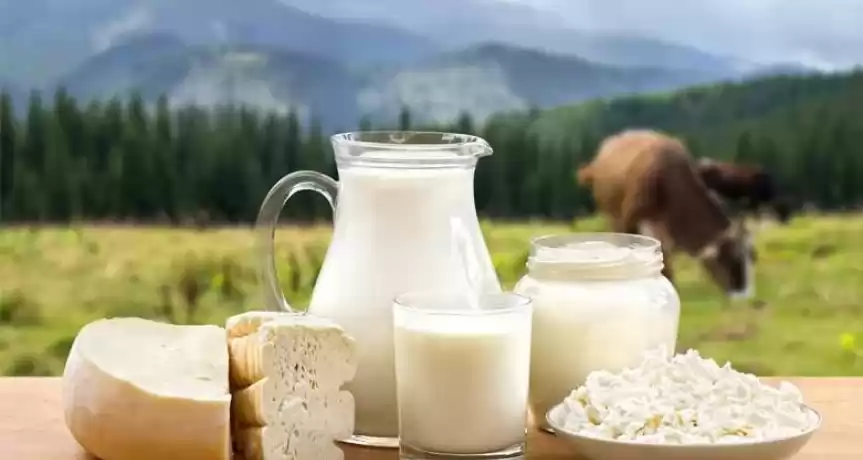 Fabrică de Lactate Afacere la Cheie - 200.000 EUR Fabrică de Lactate Afacere la Cheie