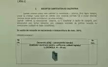 Linie procesare lapte 2000L/zi | Mozzarella