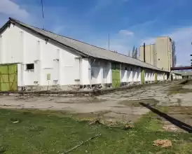 Baza de cereale cca 40.000 mp, intravilan,MH, 30e