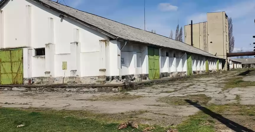 Baza de cereale cca 40.000 mp, intravilan,MH, 30e