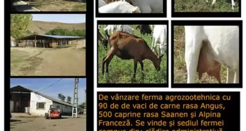 De vânzare Ferma Agro Zootehnica - 0 EUR De vânzare Ferma Agro Zootehnica