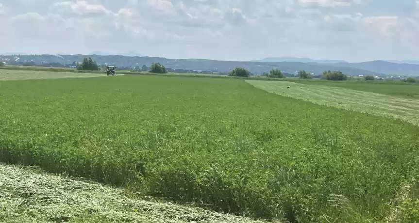 Asociere sau vanzare ferma mixta agricola 