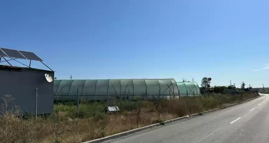 Fermă de vânzare în Hârșova 