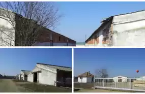 Ferma Bovine de vanzare