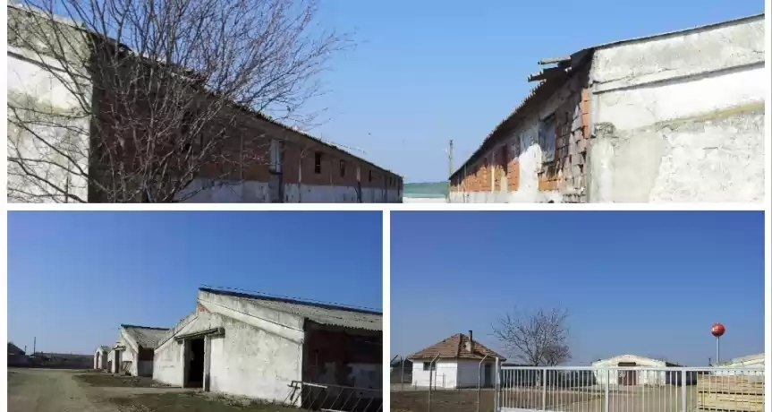 Ferma Bovine de vanzare