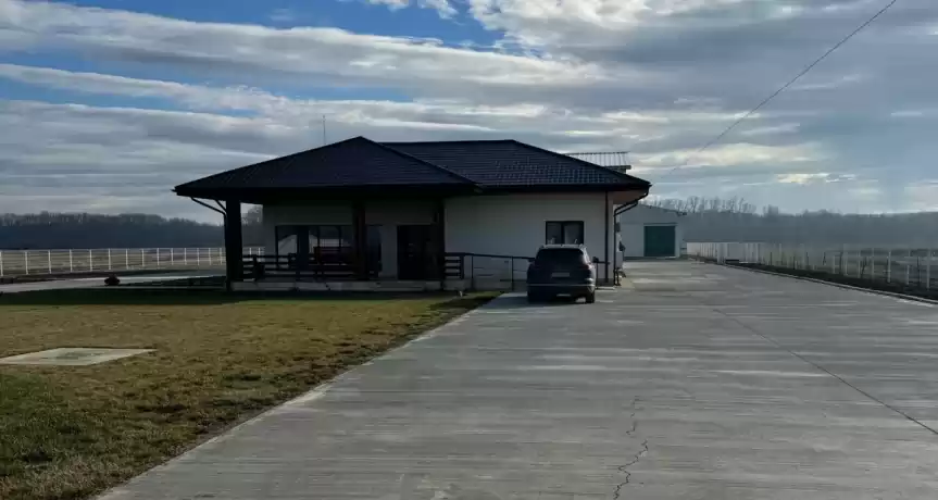 Fermă de bovine si unitate de abatorizare