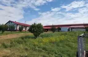 Fermă zootehnică utilată, 1000 m² construiti