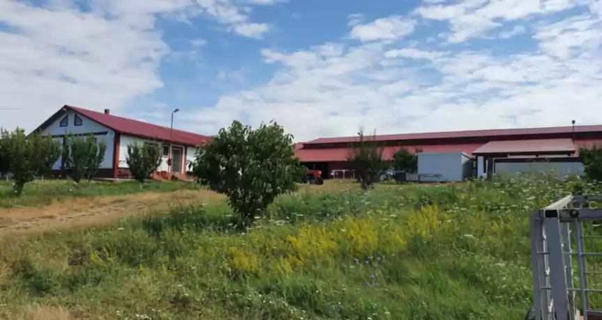 Fermă zootehnică utilată, 1000 m² construiti