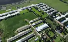 FERMA AVICOLA DE VANZARE FERMA AVICOLA DE VANZARE