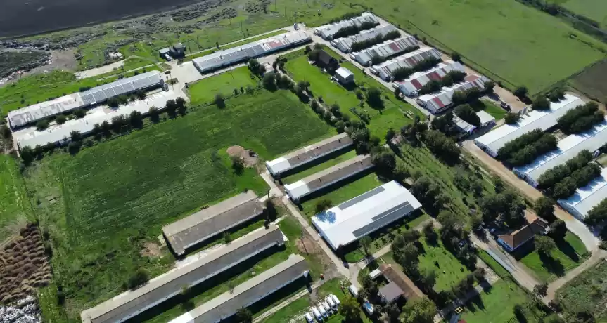 FERMA AVICOLA DE VANZARE - 1.275.000 EUR FERMA AVICOLA DE VANZARE