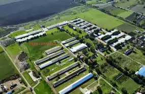 FERMA AVICOLA DE VANZARE