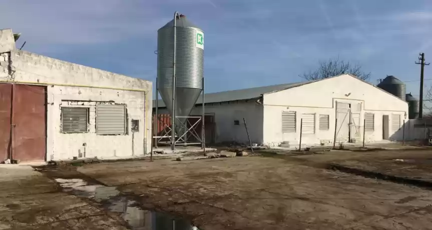 VAND FERMA DE PUI DE CARNE