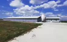 Fermă de îngrășare porci complet echipată Fermă de îngrășare porci complet echipată