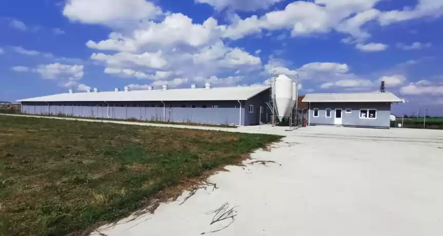Fermă de îngrășare porci complet echipată - 500.000 EUR Fermă de îngrășare porci complet echipată