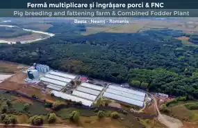 Ferma multiplicare si ingrasare porc+FNC-vanzare