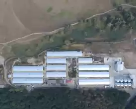 Ferma multiplicare si ingrasare porc+FNC-vanzare