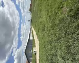 Ferma zootehnica de porci NOUA Full dotata 