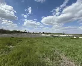 Ferma zootehnica de porci NOUA Full dotata 