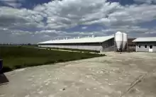 Ferma zootehnica de porci NOUA Full dotata 