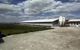 Ferma zootehnica de porci NOUA Full dotata 