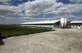 Ferma zootehnica de porci NOUA Full dotata 