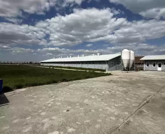 Ferma zootehnica de porci NOUA Full dotata 